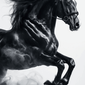 Horse poster